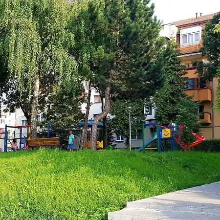 Dawn קלוז'-נאפוקה