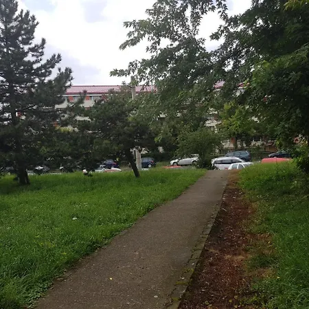 Dawn קלוז'-נאפוקה